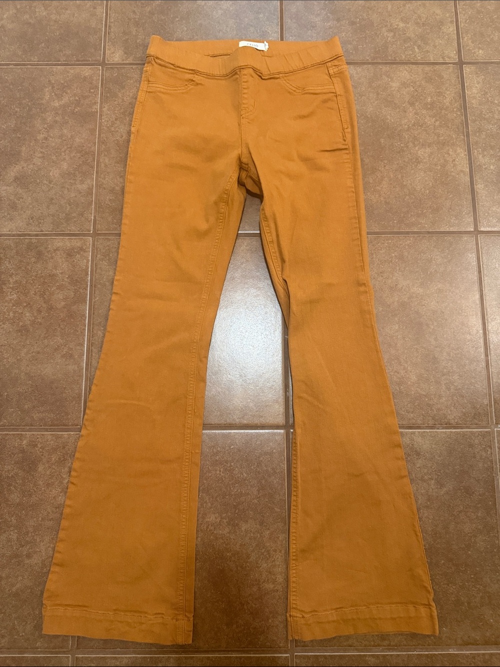 Cello Burnt Orange Knit Pants